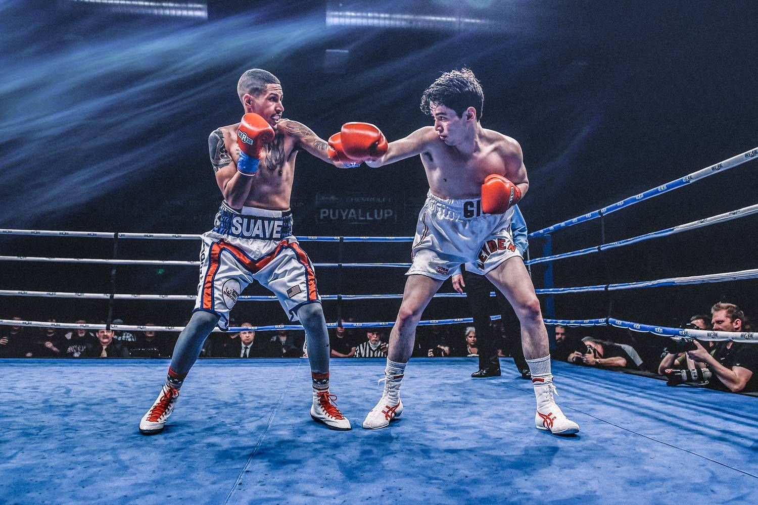 Professional Boxers  -  EQC - 2019