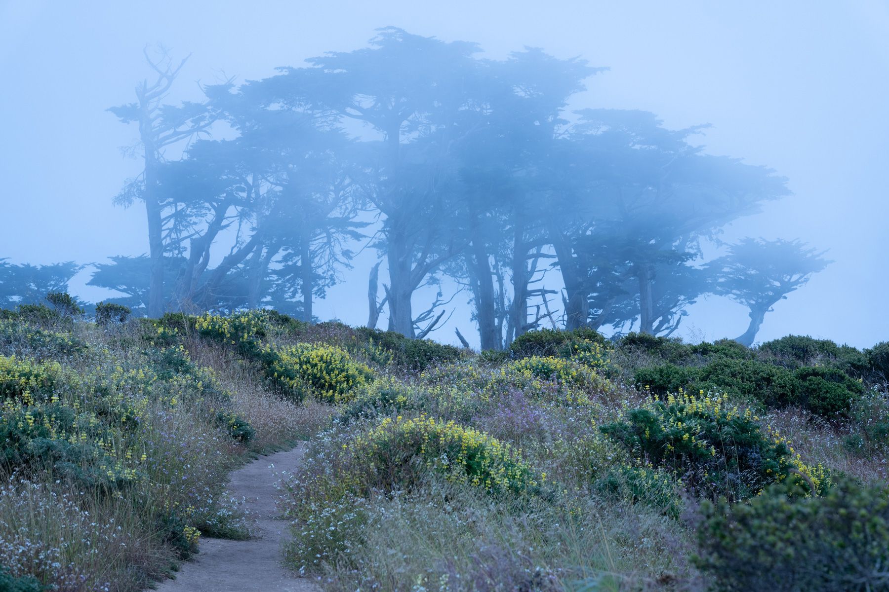 california_2026-26-3.jpg