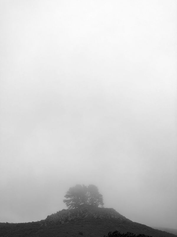 foggy-muir-beach.jpg
