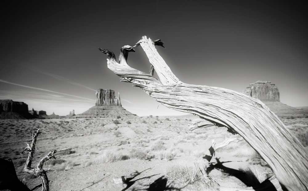 MonumentValleyBestPrint20BW.jpeg