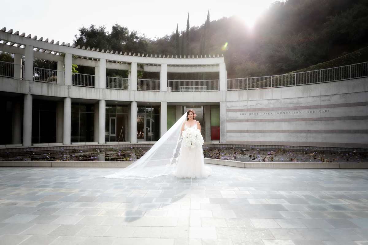 Michelle wedding formals Sun lit bride