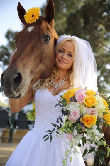 Equestrian Photography, Equestrian Photography,