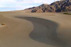 Mesquite Sand Dunes, Death Valley, California Death Valley April 2014 187.jpg
