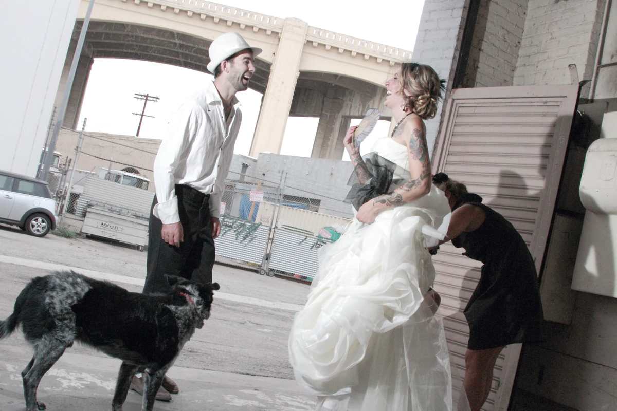 This dog is part of the wedding party at Rachel and Alex's downtown wedding. Dogs and weddings? No problem.