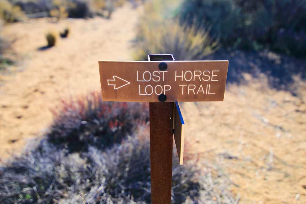 Trail begins... Joshua Tree National Park sign