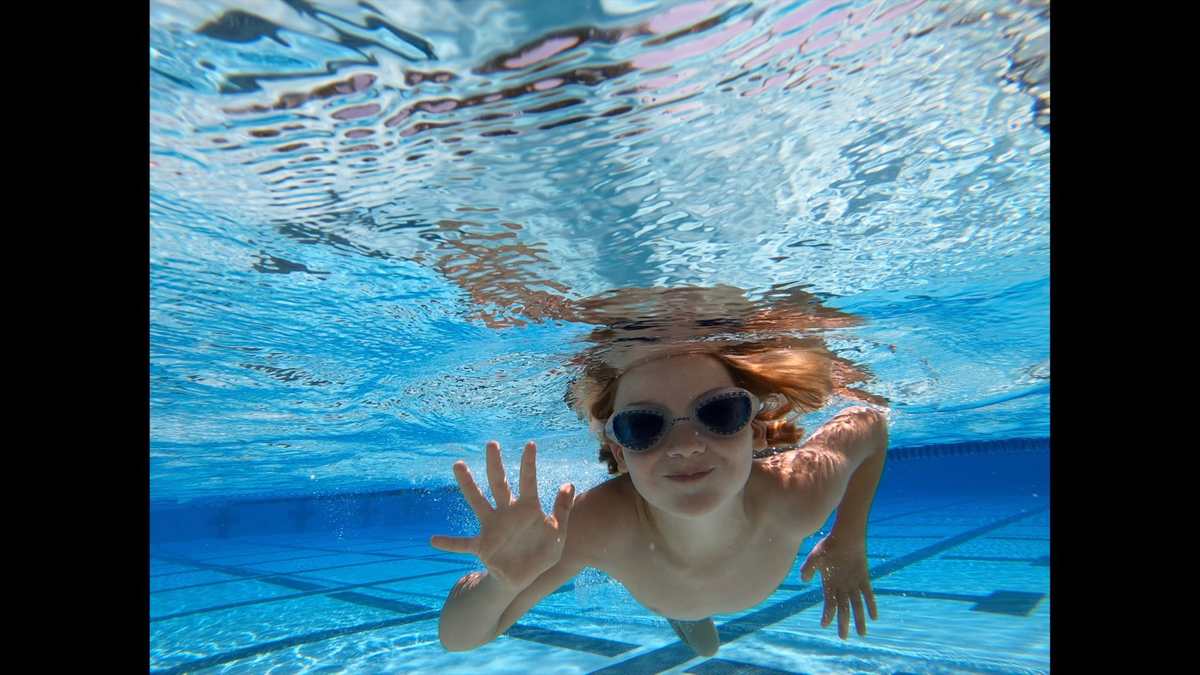 Sebby the seal. Sebby waves in the pool