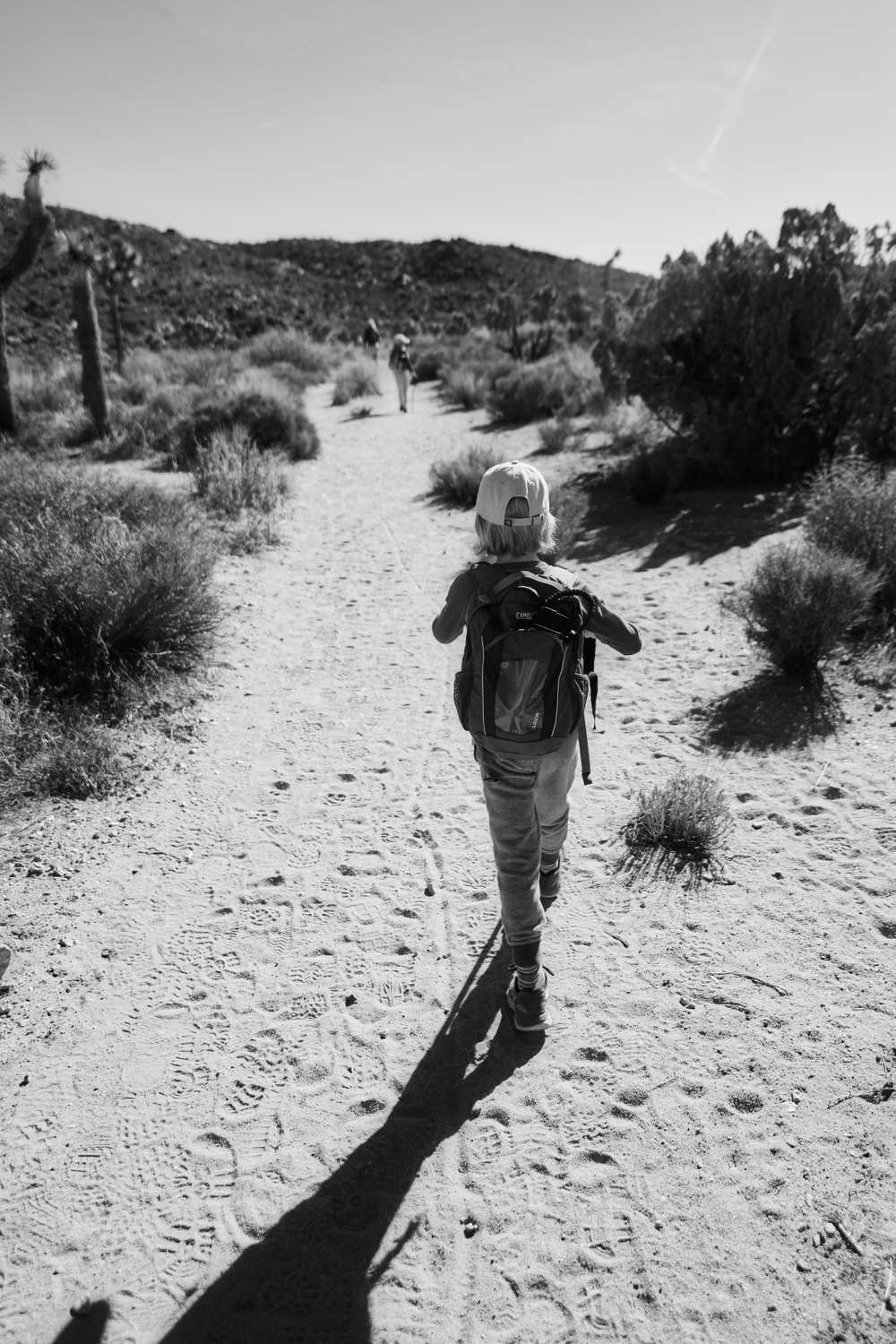 Joshua Tree National Park at the start of the hike. Joshua Tree National Park - Sebby starts