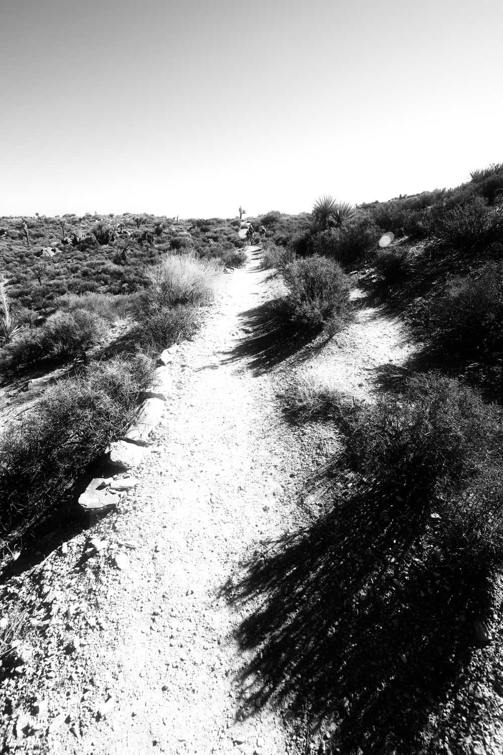 Hiking on Lost Horse Mine Trail