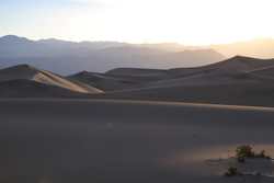 Mesquite Sand Dunes, Death Valley, California Death Valley April 2014 333.jpg