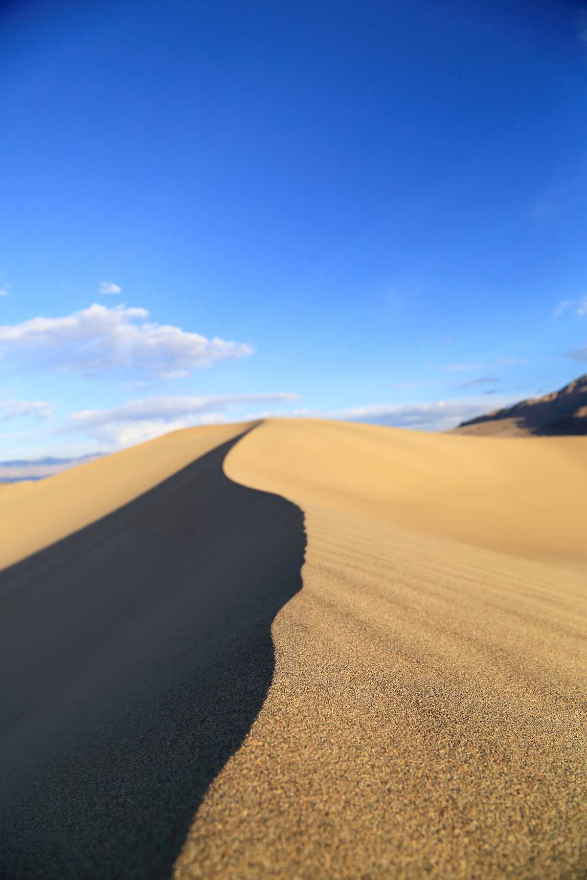 Like a winding snake, the sand dune. Looking across a ridge of a sand dune