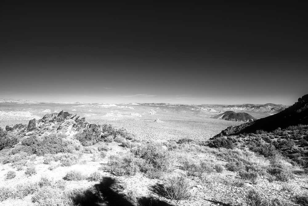 Joshua Tree vista Man on a mountain