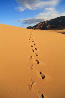 Mesquite Sand Dunes, Death Valley, California Death Valley April 2014 363.jpg