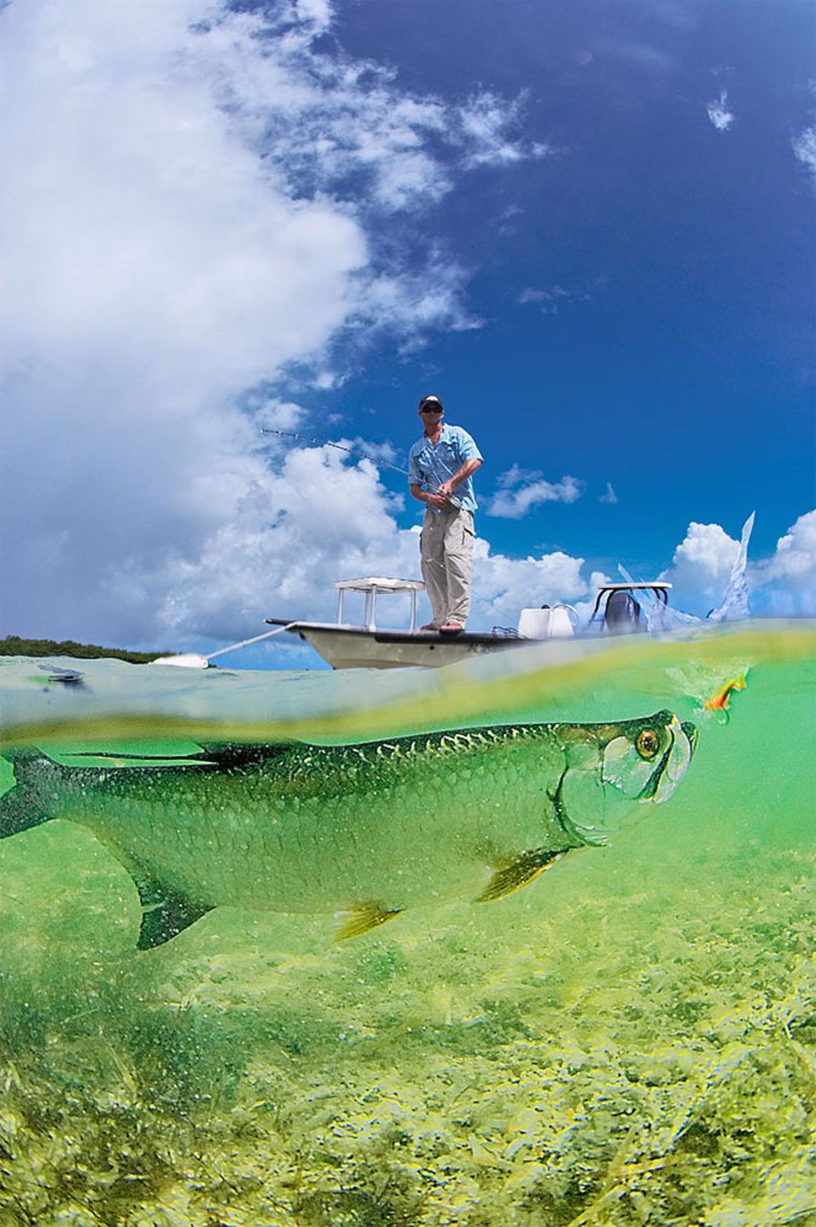 CMorrison_Fishing_2.jpg