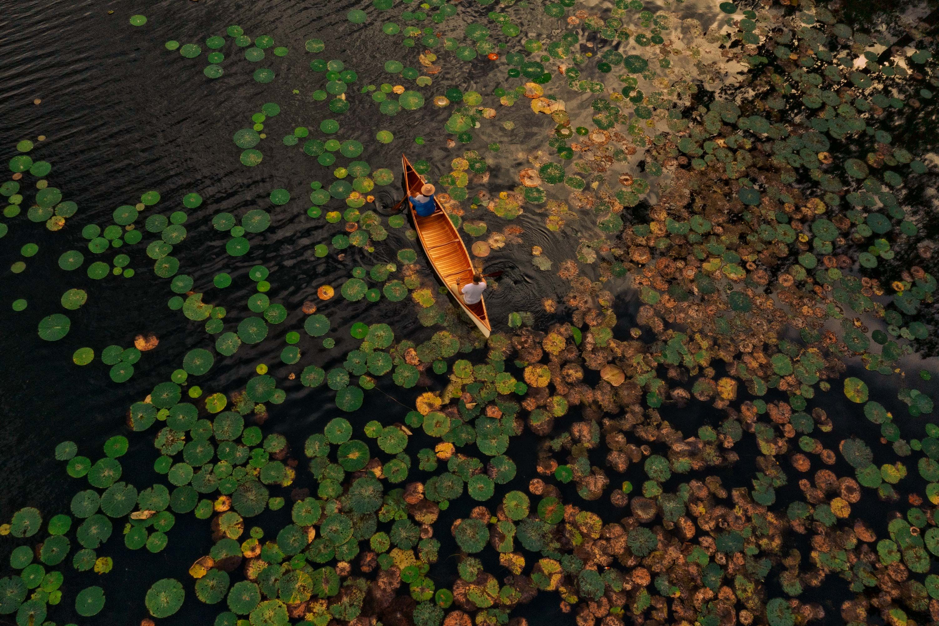 DJI_0891.jpg