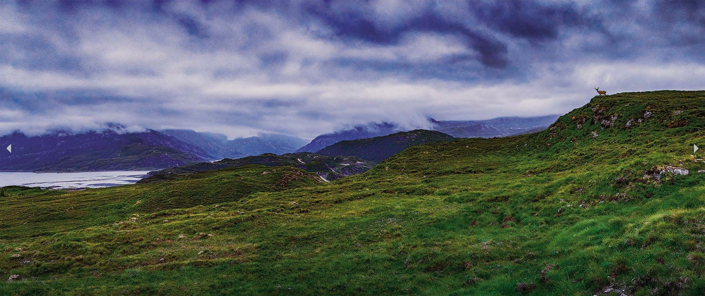 ScottishHighlands_RoyalStag_1.jpg