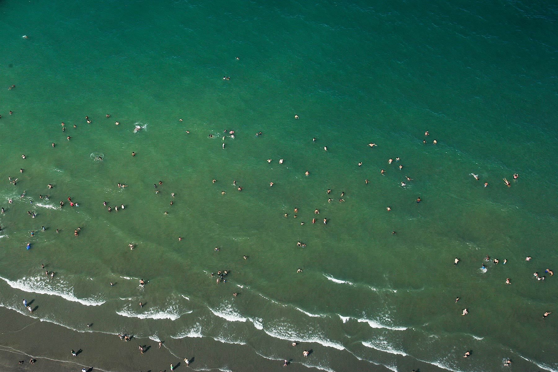 SwimmersSouthern Argentina Coastline