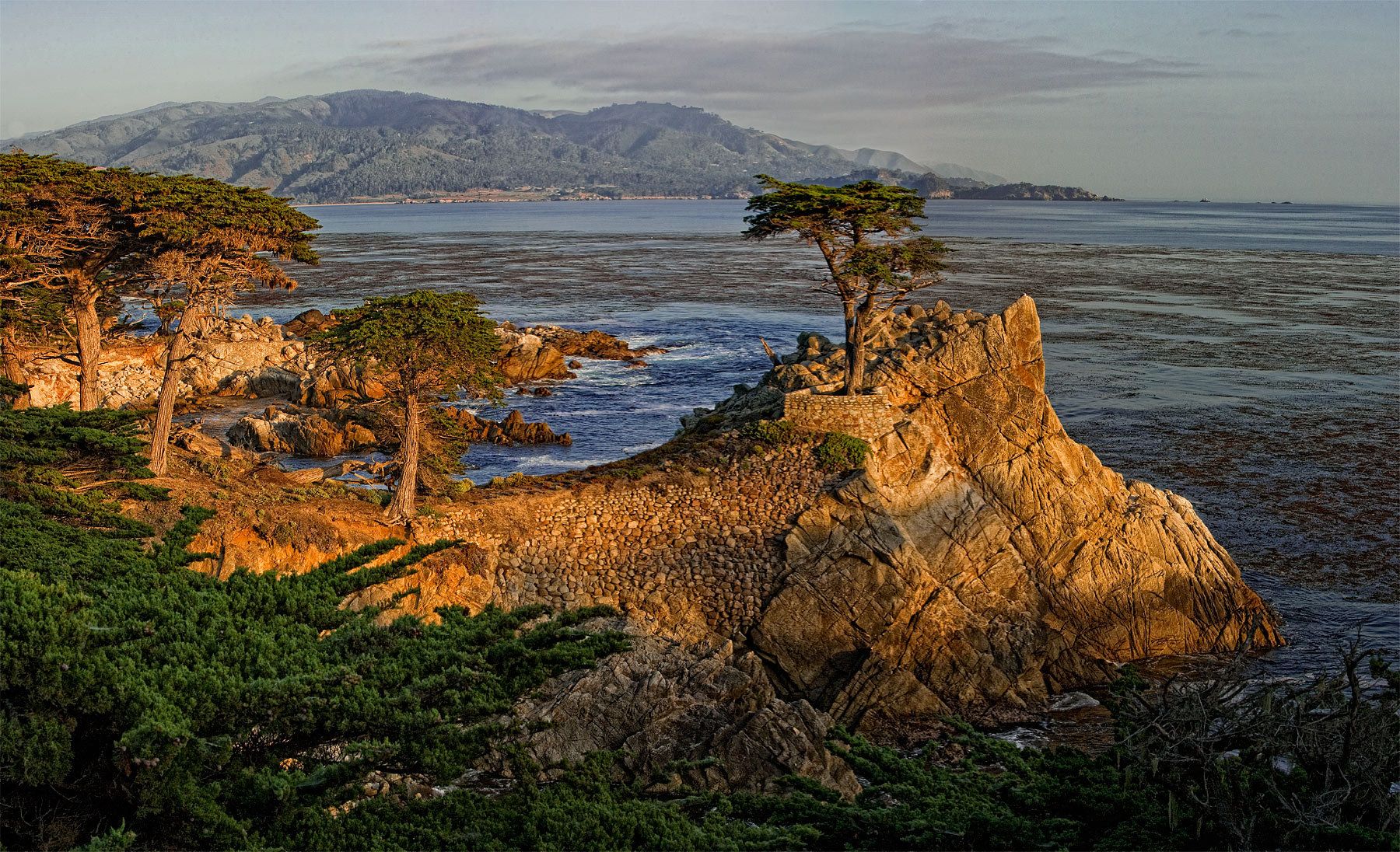 The Lone CypressPebble Beach, CA