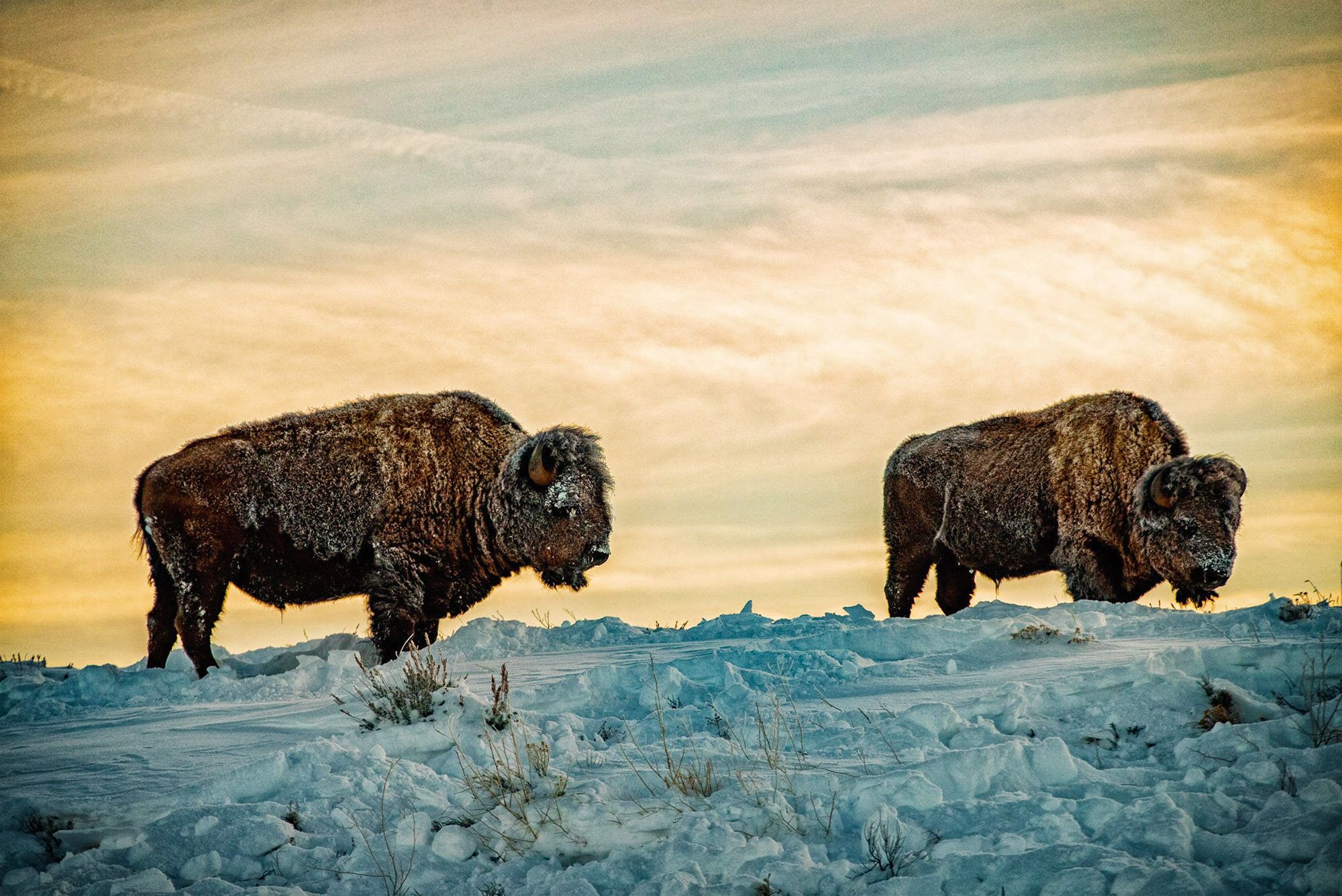 Buffalo_WY_MagicHour_1.jpg