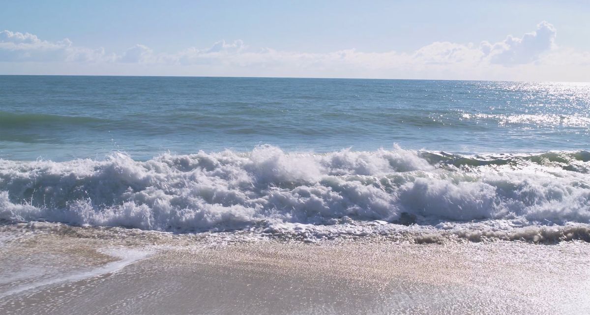 BeachWaves_Windsor_1.jpg