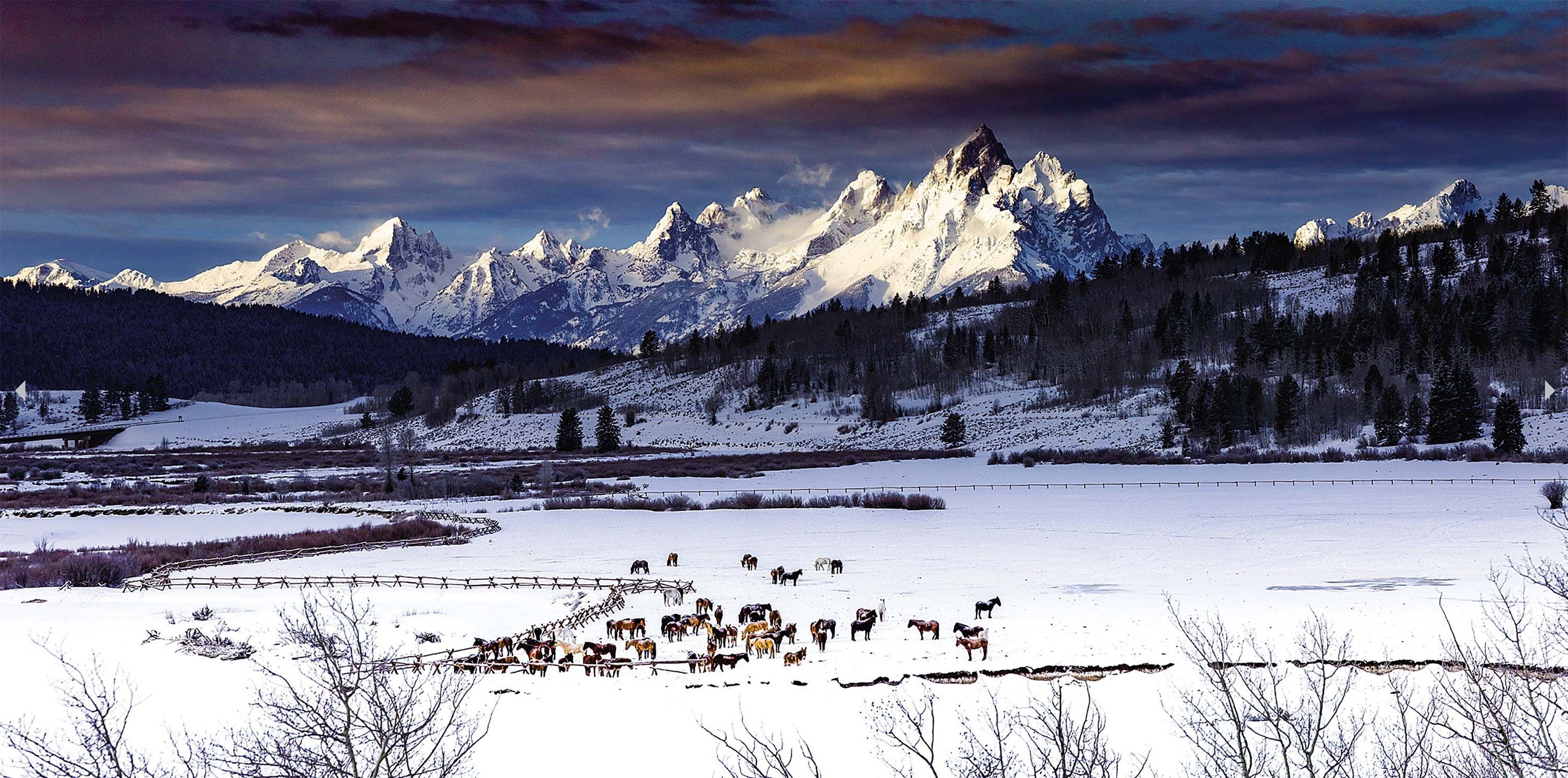 Heart6Ranch_TetonMorning_1.jpg