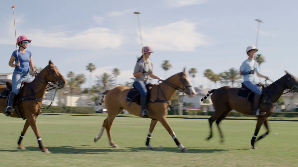 Polo_Windsor_1.jpg