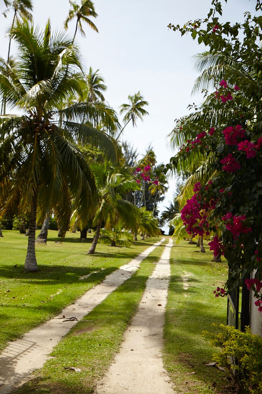 1_mg_3362moorea.jpg