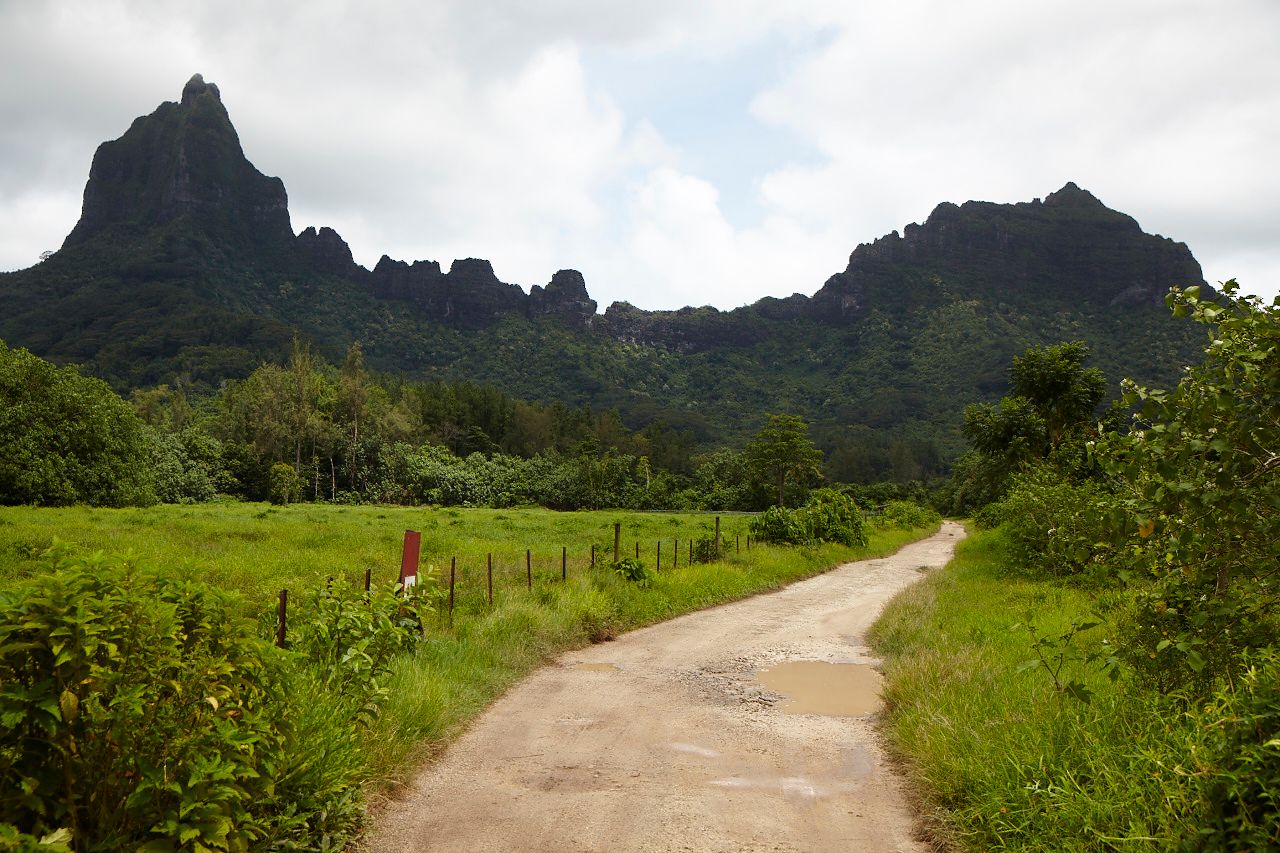 1_mg_3286moorea.jpg