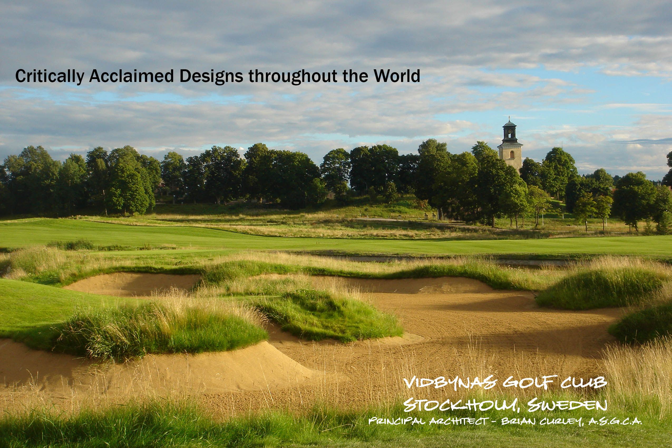 Vidbynas Home_BC.jpg