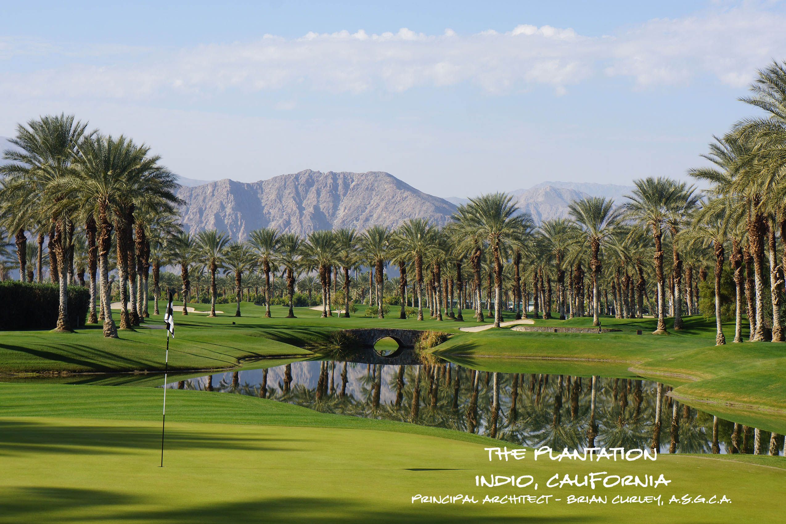 The Plantation_BC.jpg