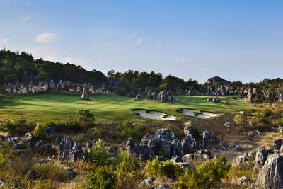 Stone Forest - Leader's Peak #15.jpg