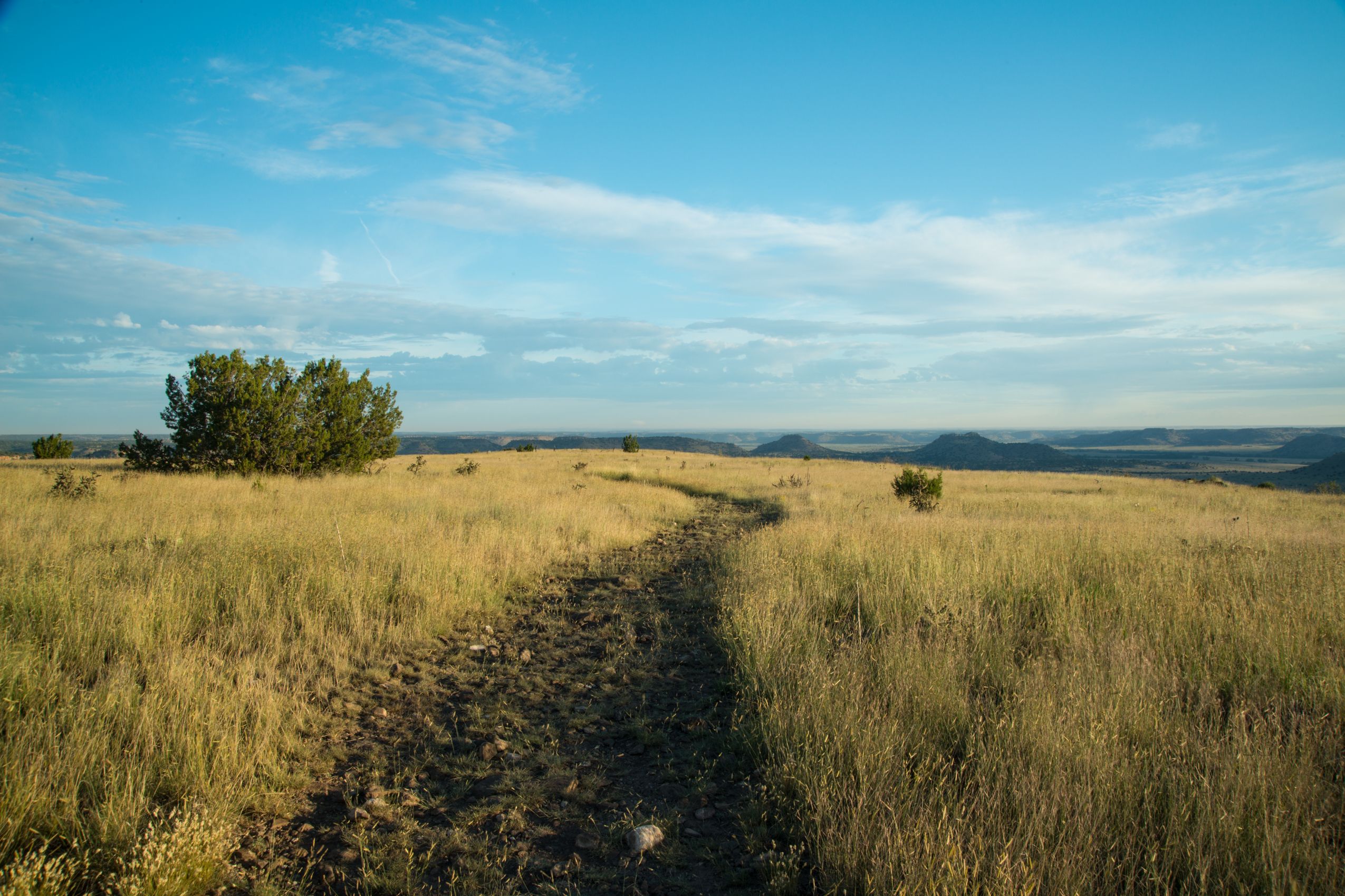 Summit Trail