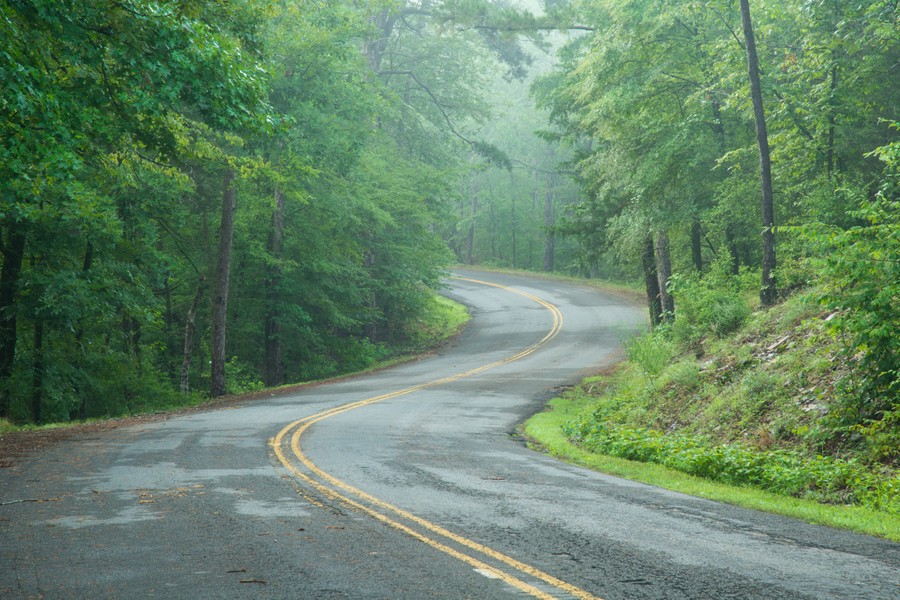 Beavers Bend Winding Road