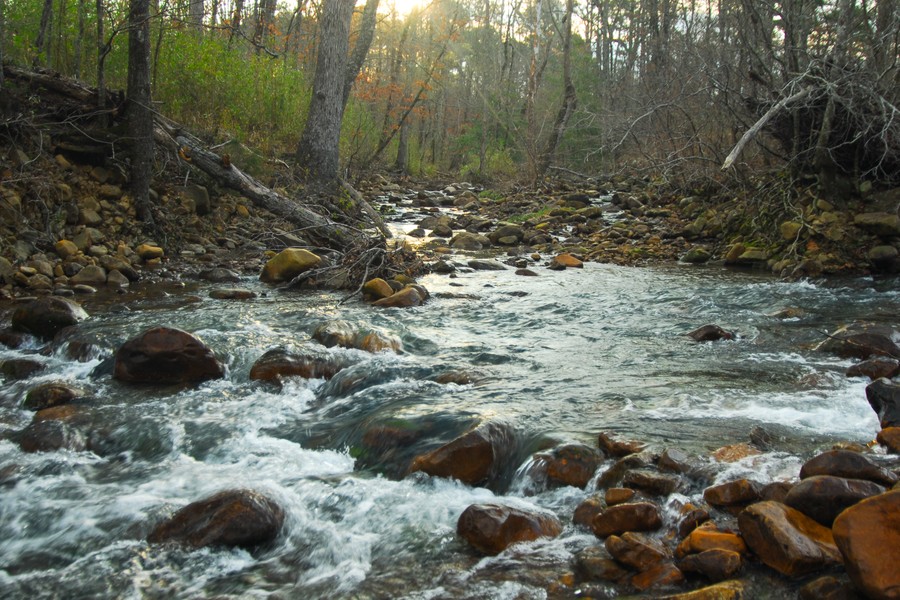 Kiamichi River Morning