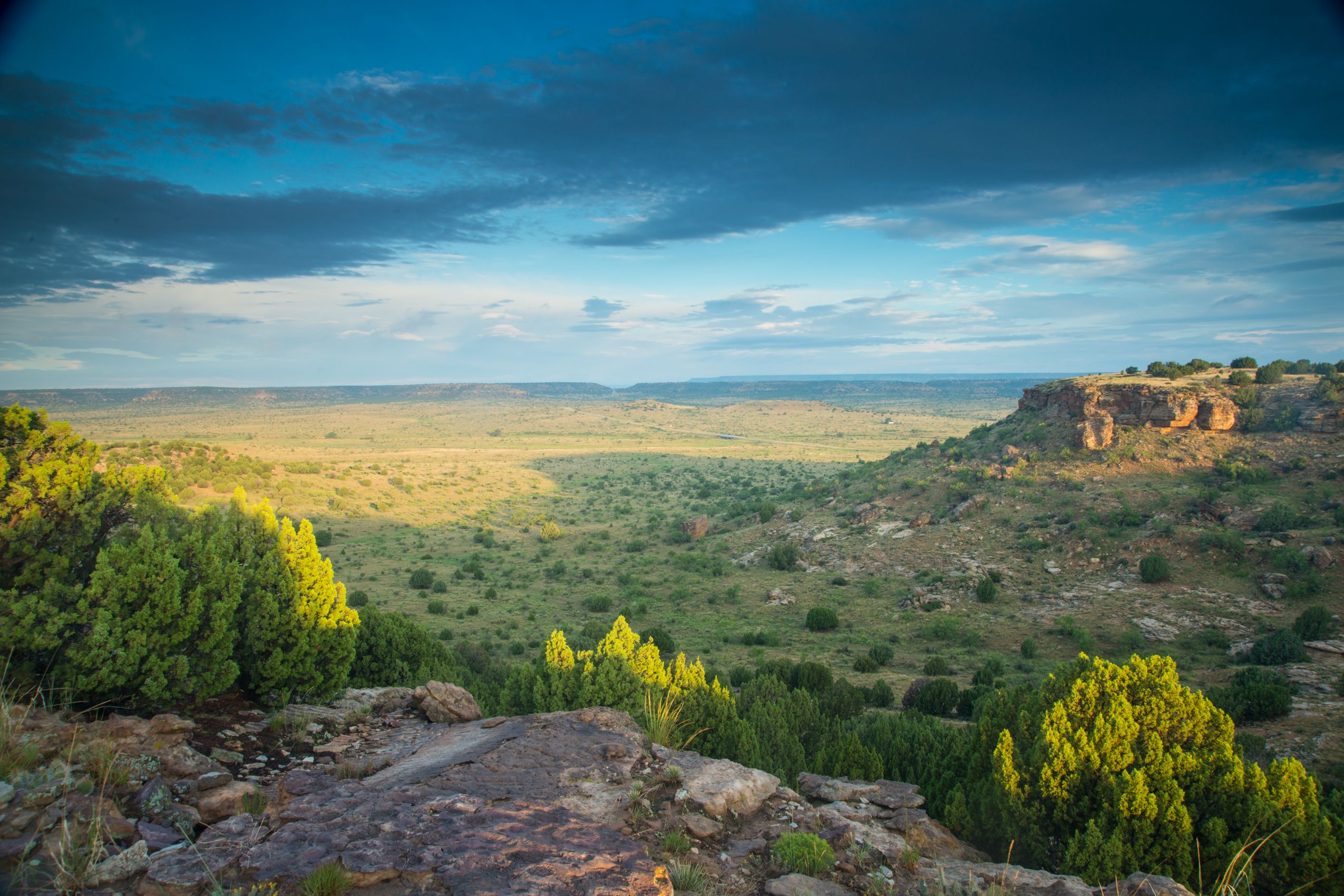 Cimarron County Landscape