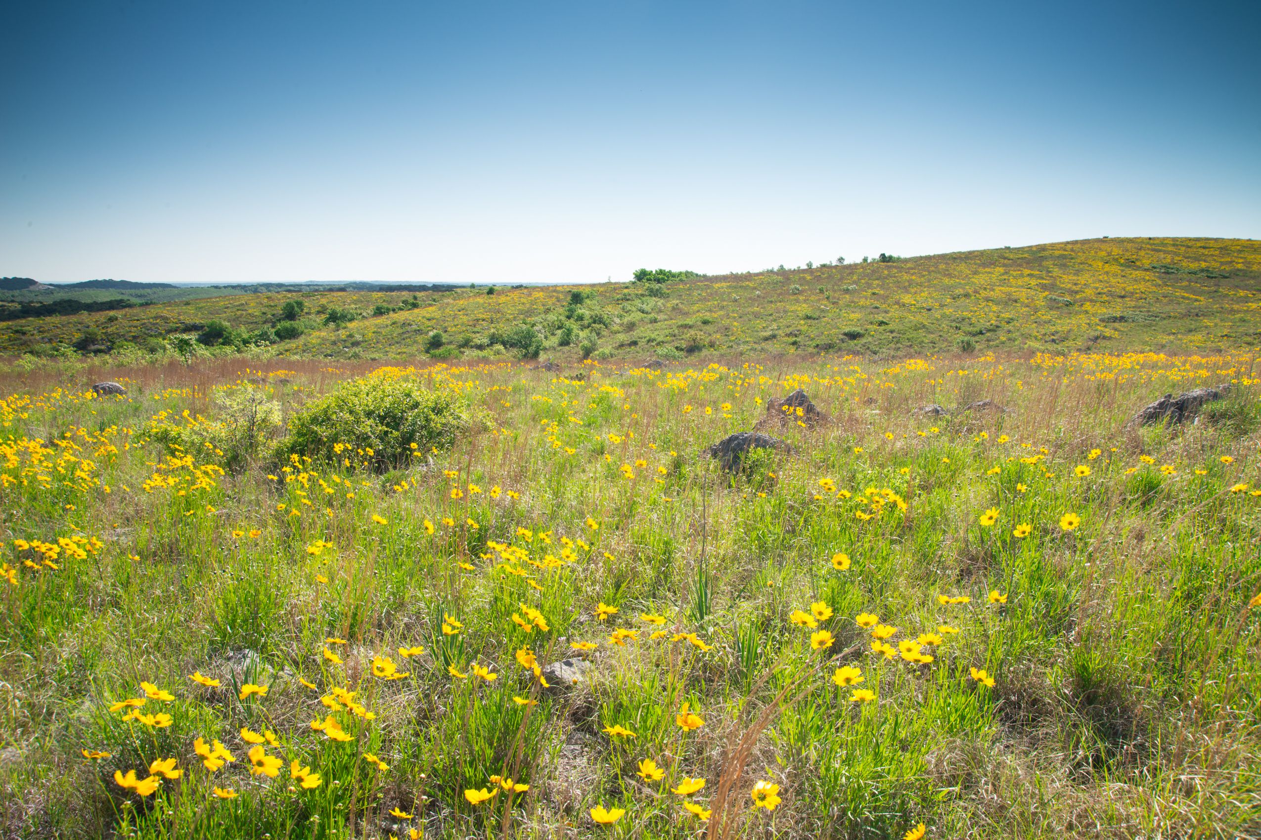 Chickasaw Country