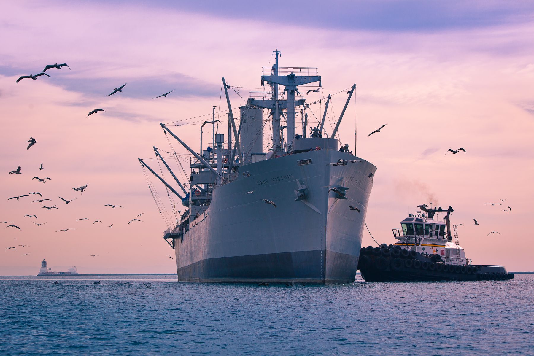 1r120206_lane_victory_move_37