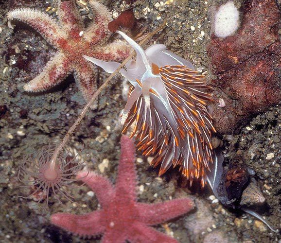 2010sizze on request IT 364