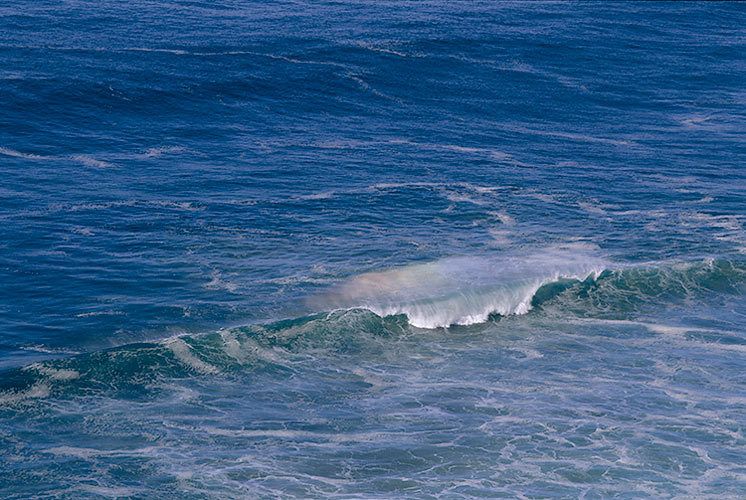 200613 1/2"H x 20"Wcurrents and waves nearing the shore in early morning lightPt. Reyes National Seashore, California #154