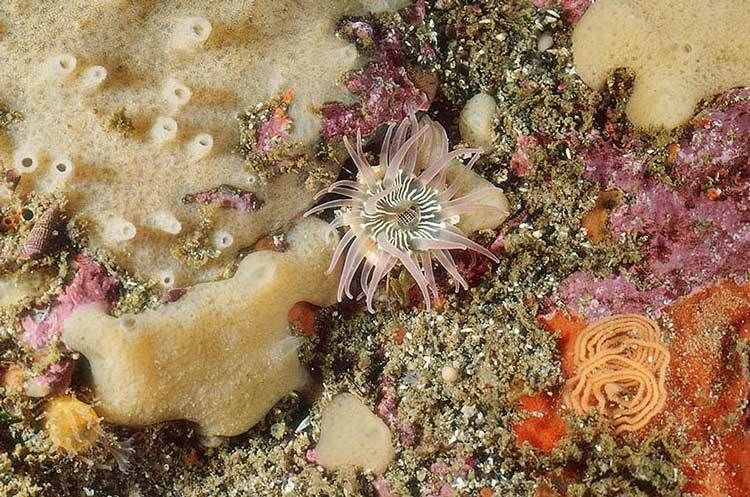 2010size on request IT 202