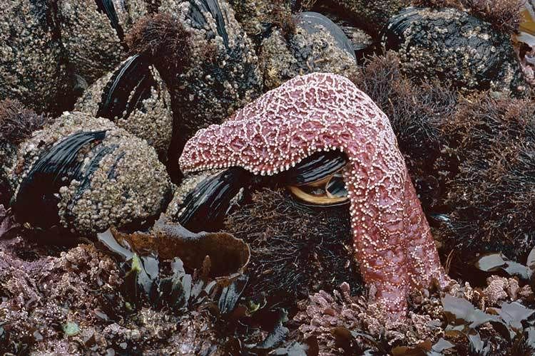 2010size on request IT 201