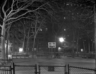 Backyard-L8.jpg