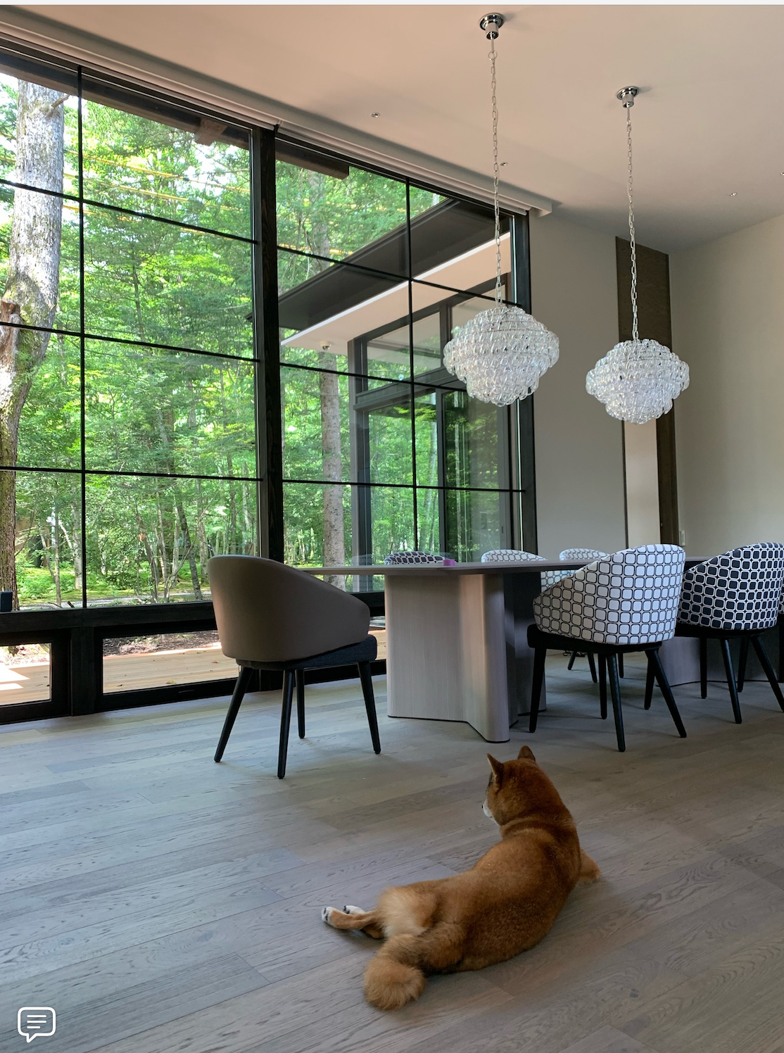 Screenshot 2025-03-01 at 1.33.05%E2%80%AFPM.png