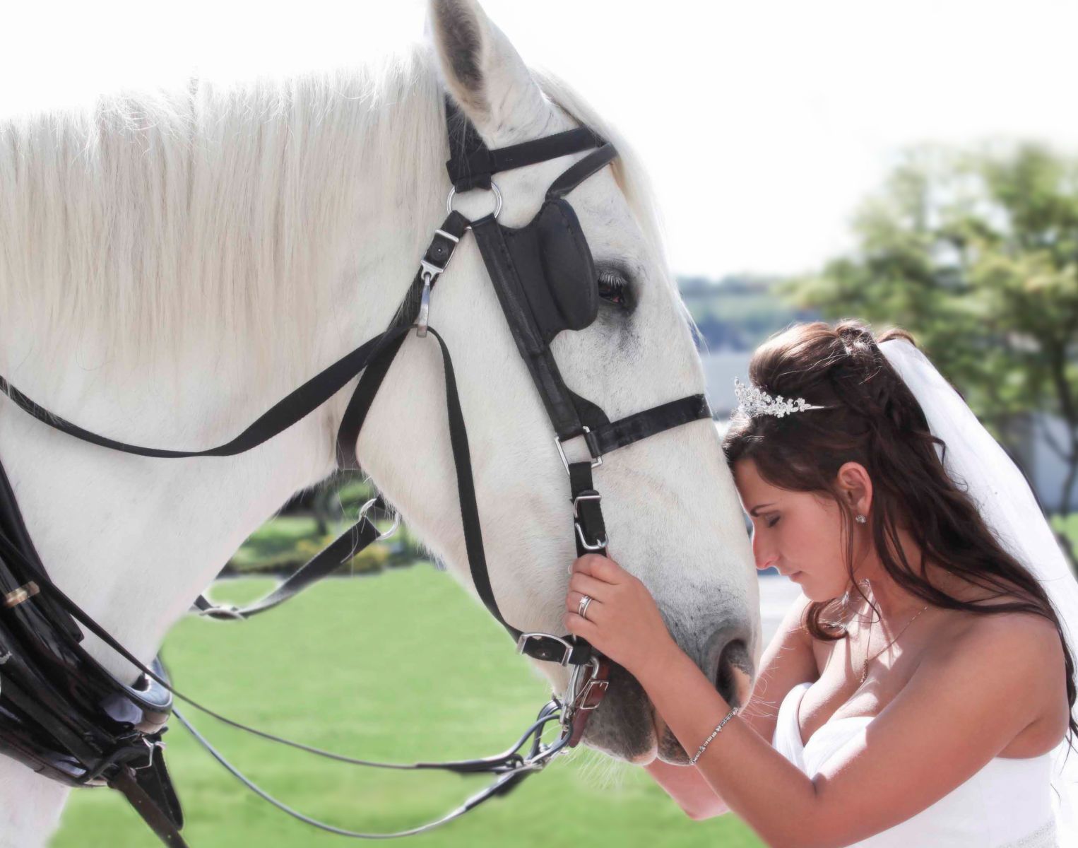 1cam_2__2414_website