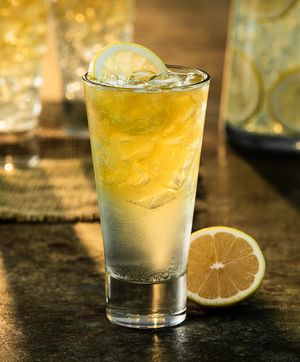 Lemon Agave Tequila Cocktail / Cocktail Photography