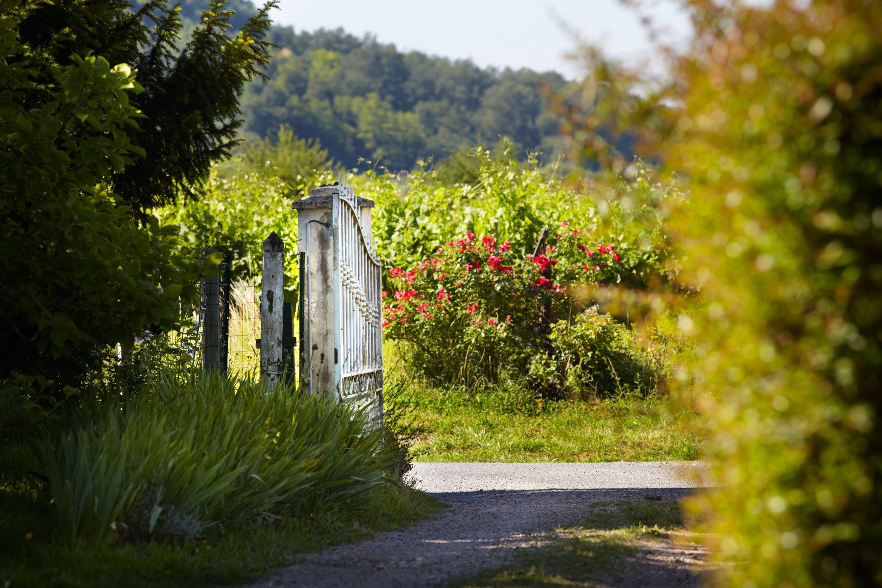 1france_countryside_0870.jpg