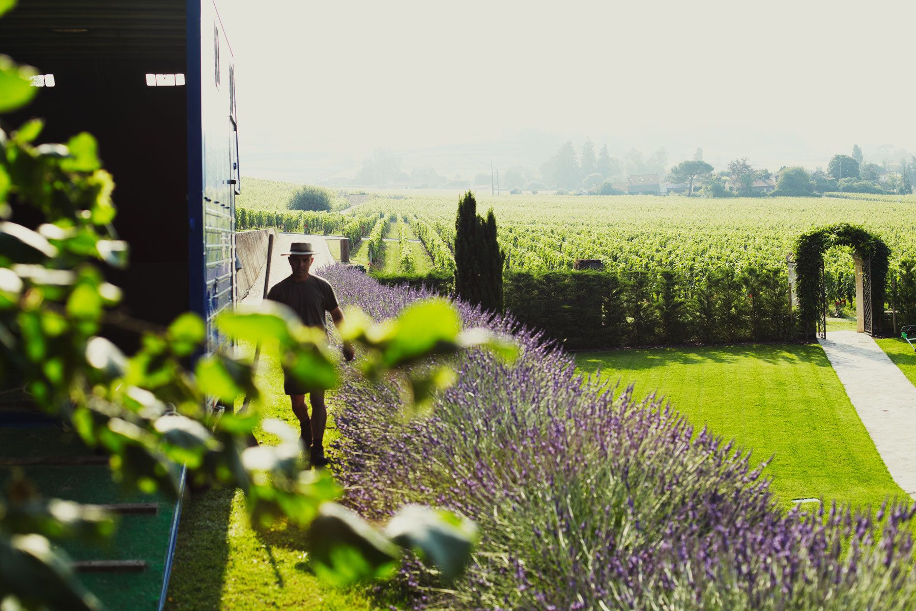 1plowman_france_wine6.jpg