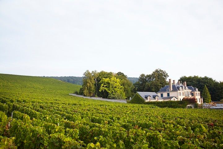 1taittinger_2065.jpg