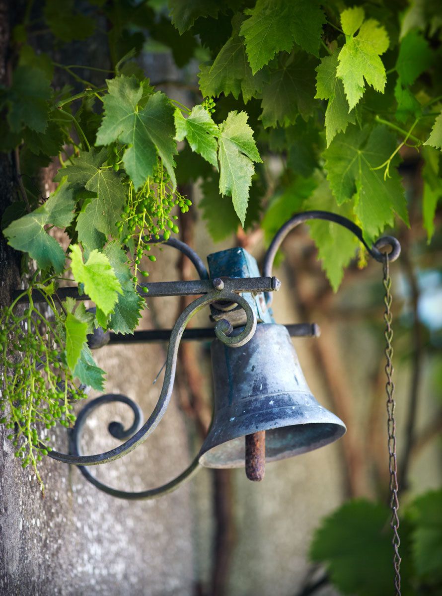 1france_vines_bell_1034.jpg