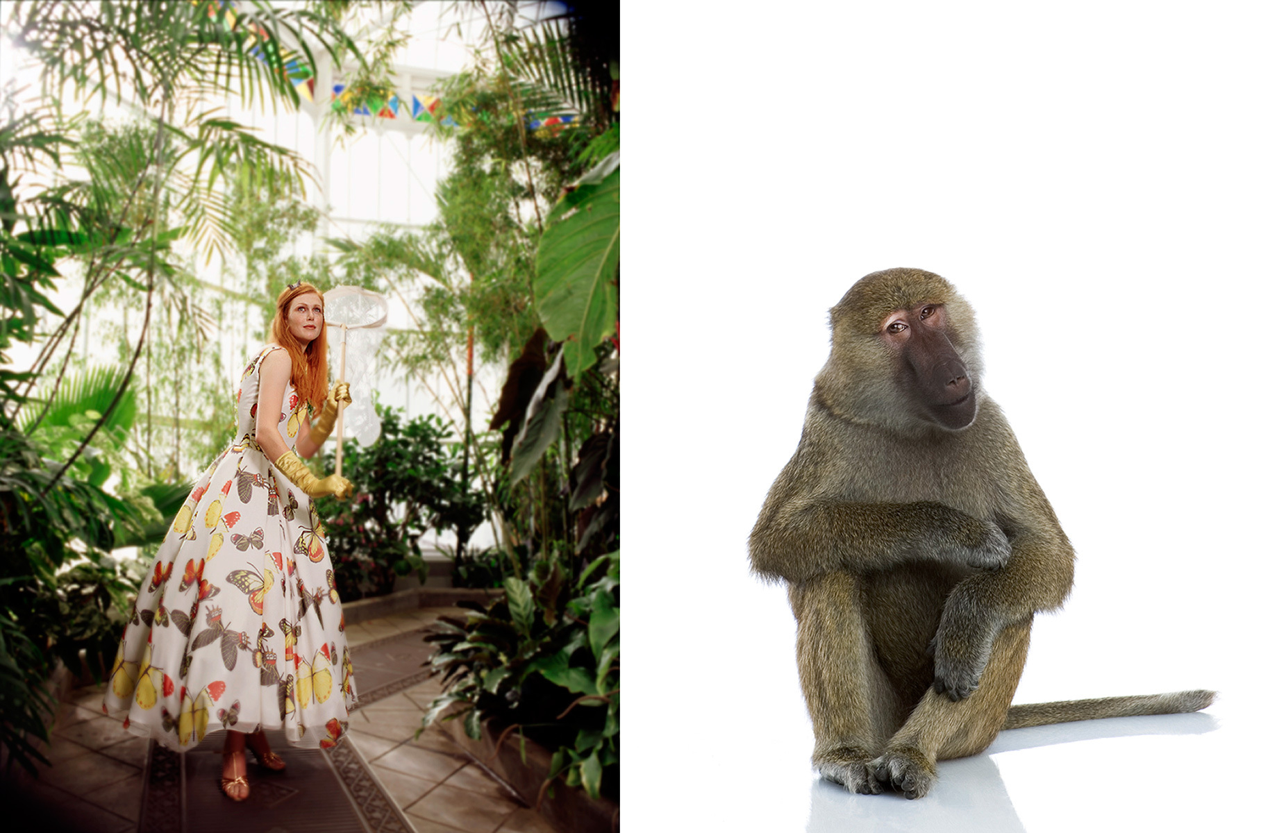 1016_cc_fashion_monkey