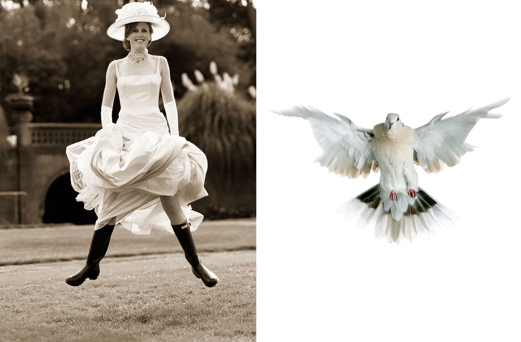 1017_cc_fashion_bird